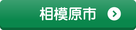 相模原市
